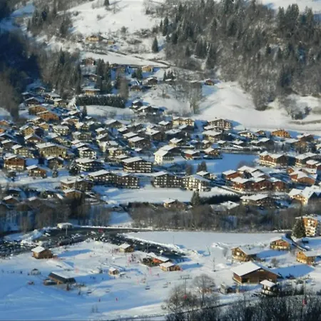 Le Jardin Des Neiges Apartment Praz-sur-Arly
